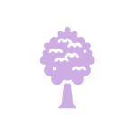 Programme de reforestation
