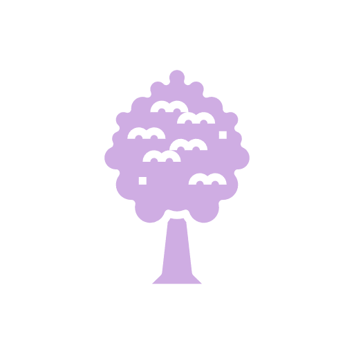 Programme de reforestation Programme de reforestation