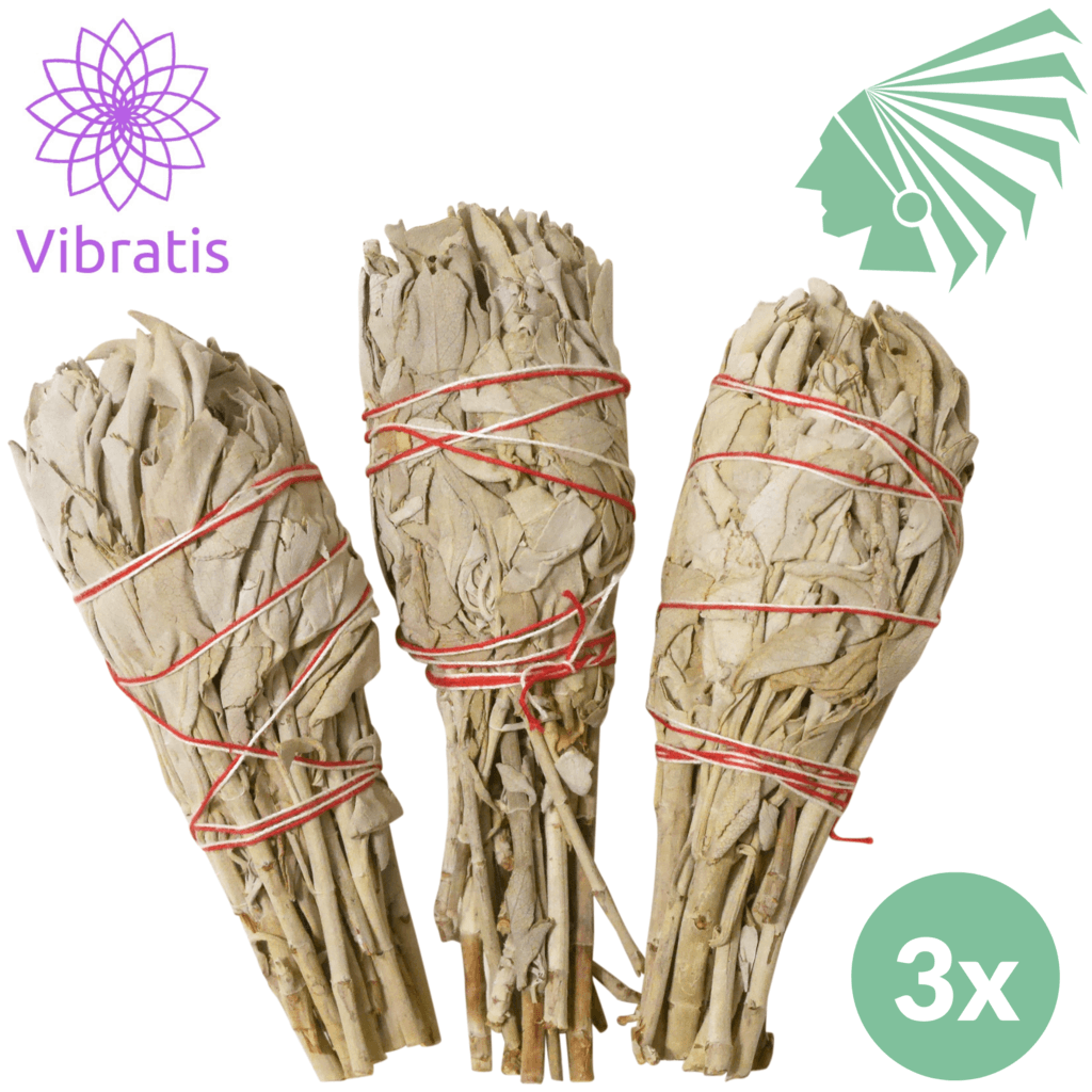 Brûler de la Sauge Comment s'y Prendre ? Vibratis — free download