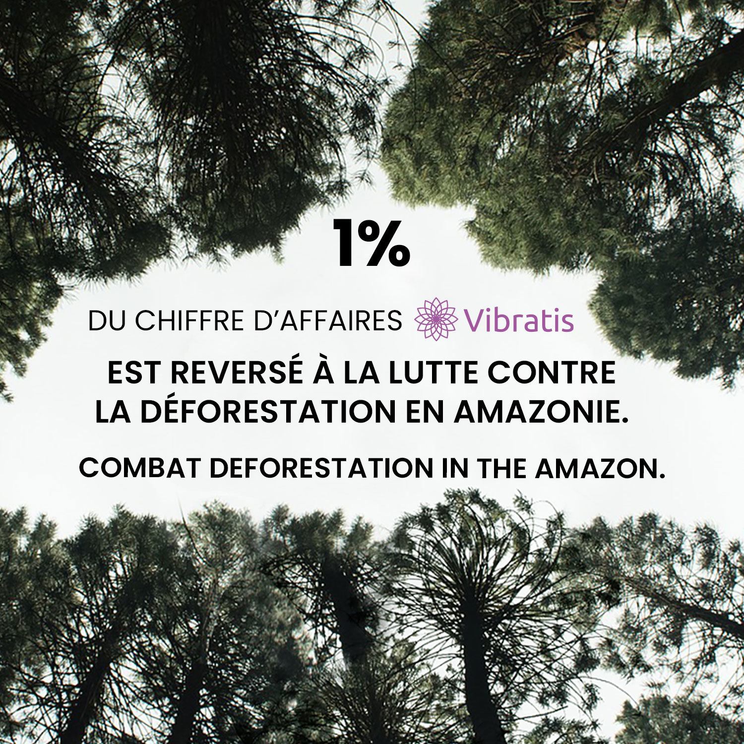 Reforestation de l'Amazonie