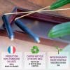 Baguette divinatoire française