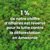 Reforestation