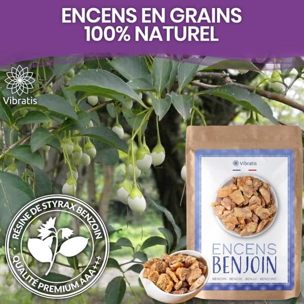 Benjoin Brun en Grain (100g) Qualité Premium - Purification & Apporte Chance – Image 7