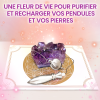 fleur de vie