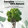 camphre 100% naturel