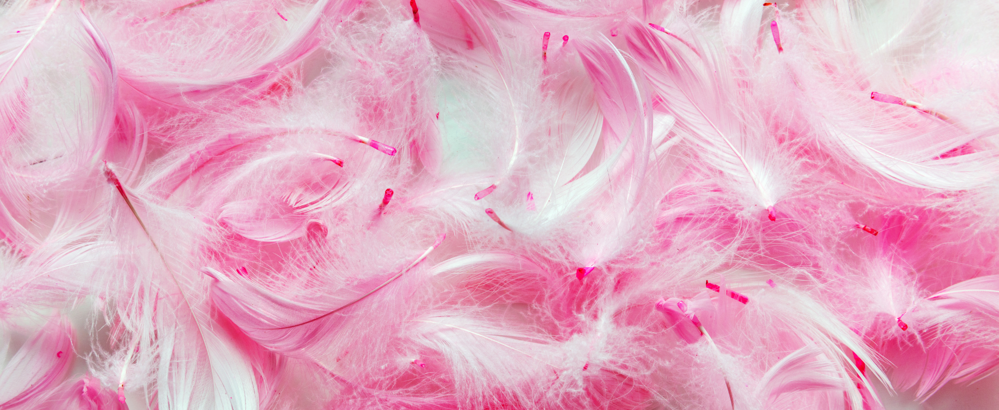 Collier Quand les plumes apparaissent - Grande plume en or rose - France
