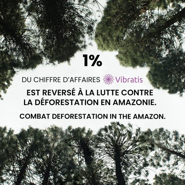 Reforestation de l’Amazonie Reforestation de l'Amazonie